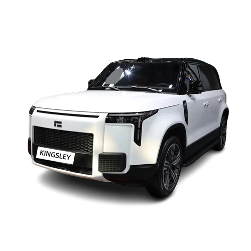 2024 Rox 01 Family 5*6 Flagship Electric Car AWD Cross-country SUV Polestones 01 Extend-range Left Hand Jishi 01 AI EV Car